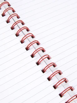 Notizbücher|Primark A5-Notizbuch Mit Blumenmuster Rosa