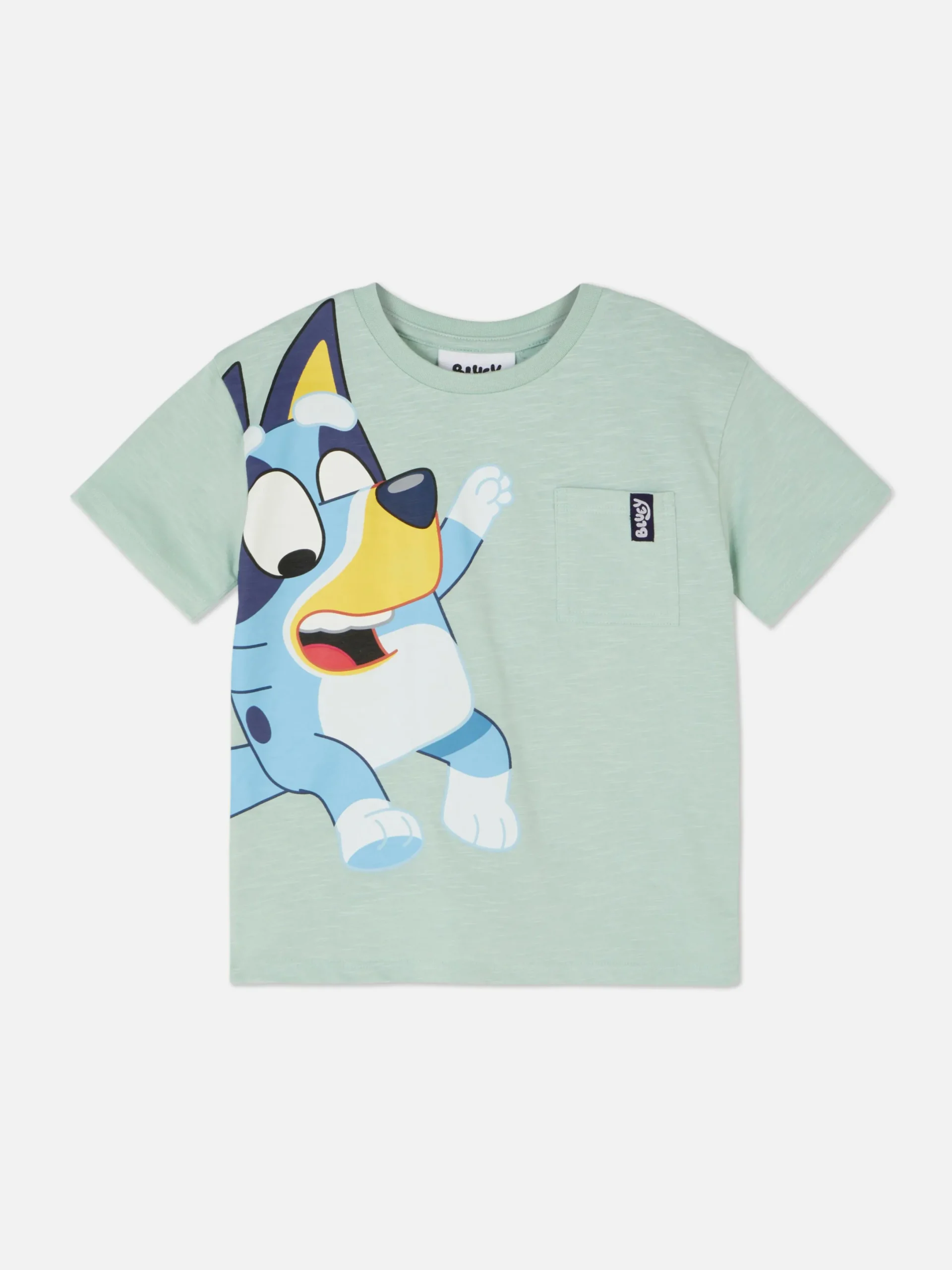 Tops Und T-Shirts|Primark „Bluey“ T-Shirt Grün
