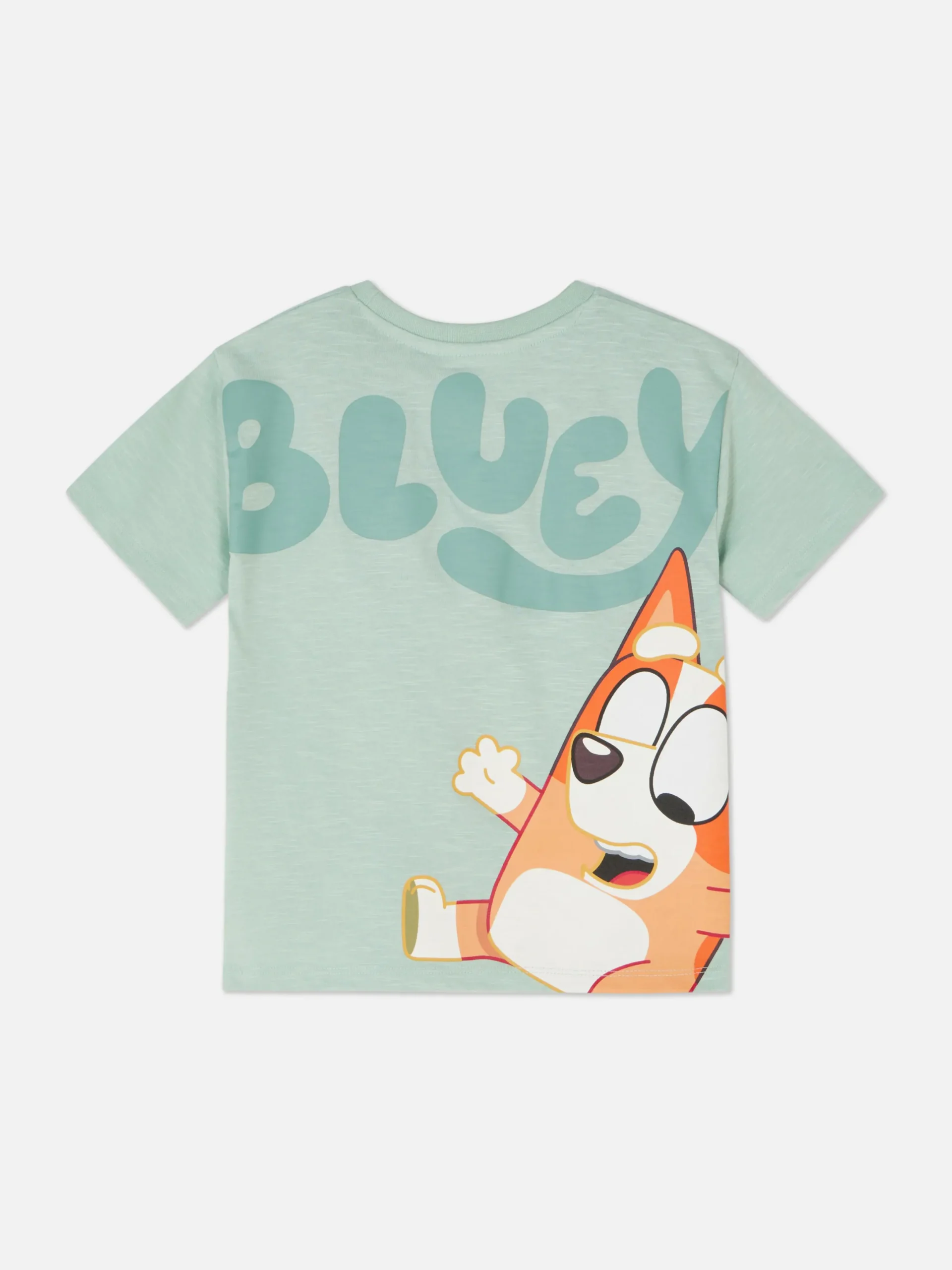 Tops Und T-Shirts|Primark „Bluey“ T-Shirt Grün