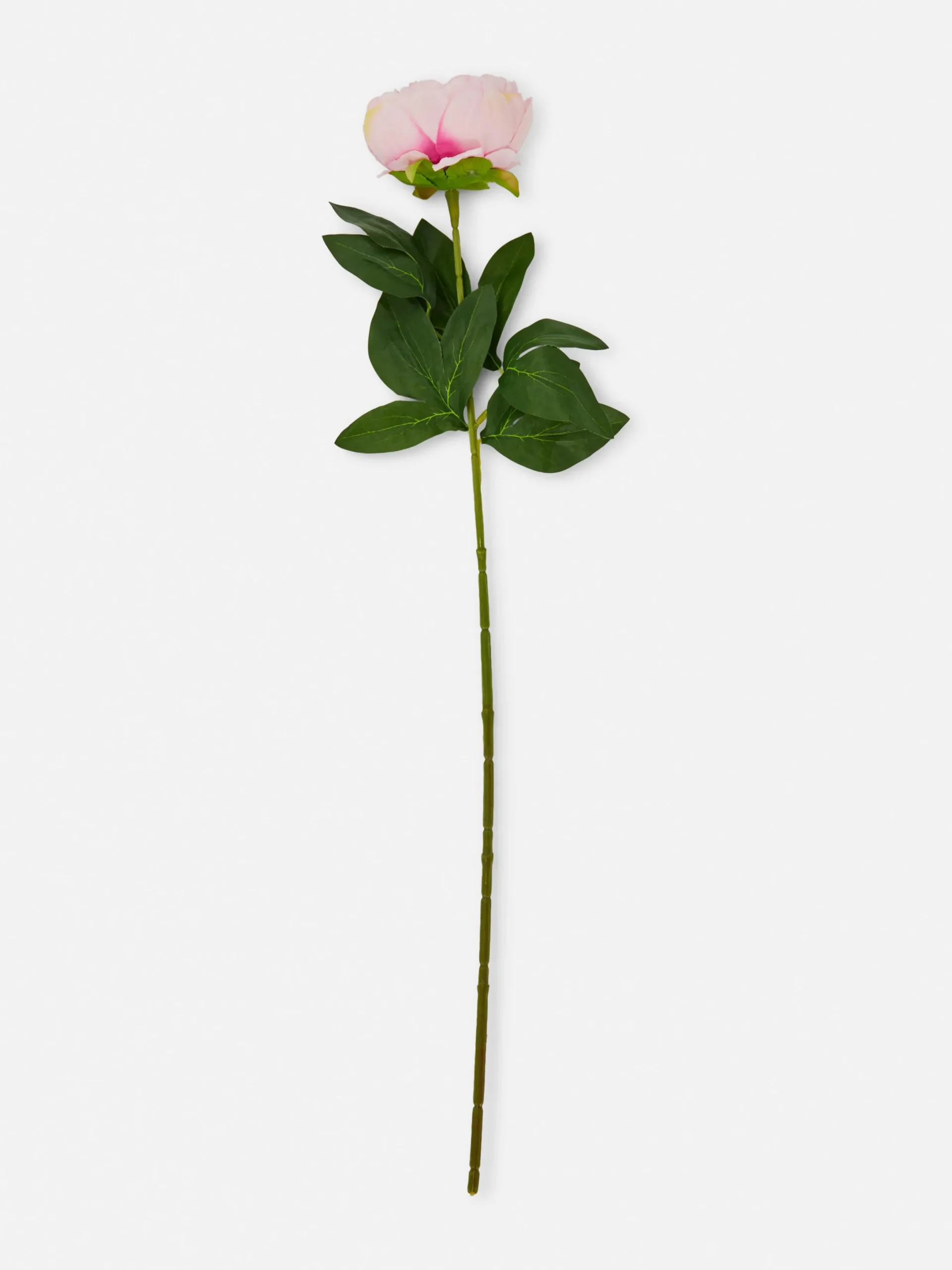 Kunstpflanzen Und -Blumen|Primark Einzelner, Künstlicher Pfingstrosen-Zweig Hellrosa