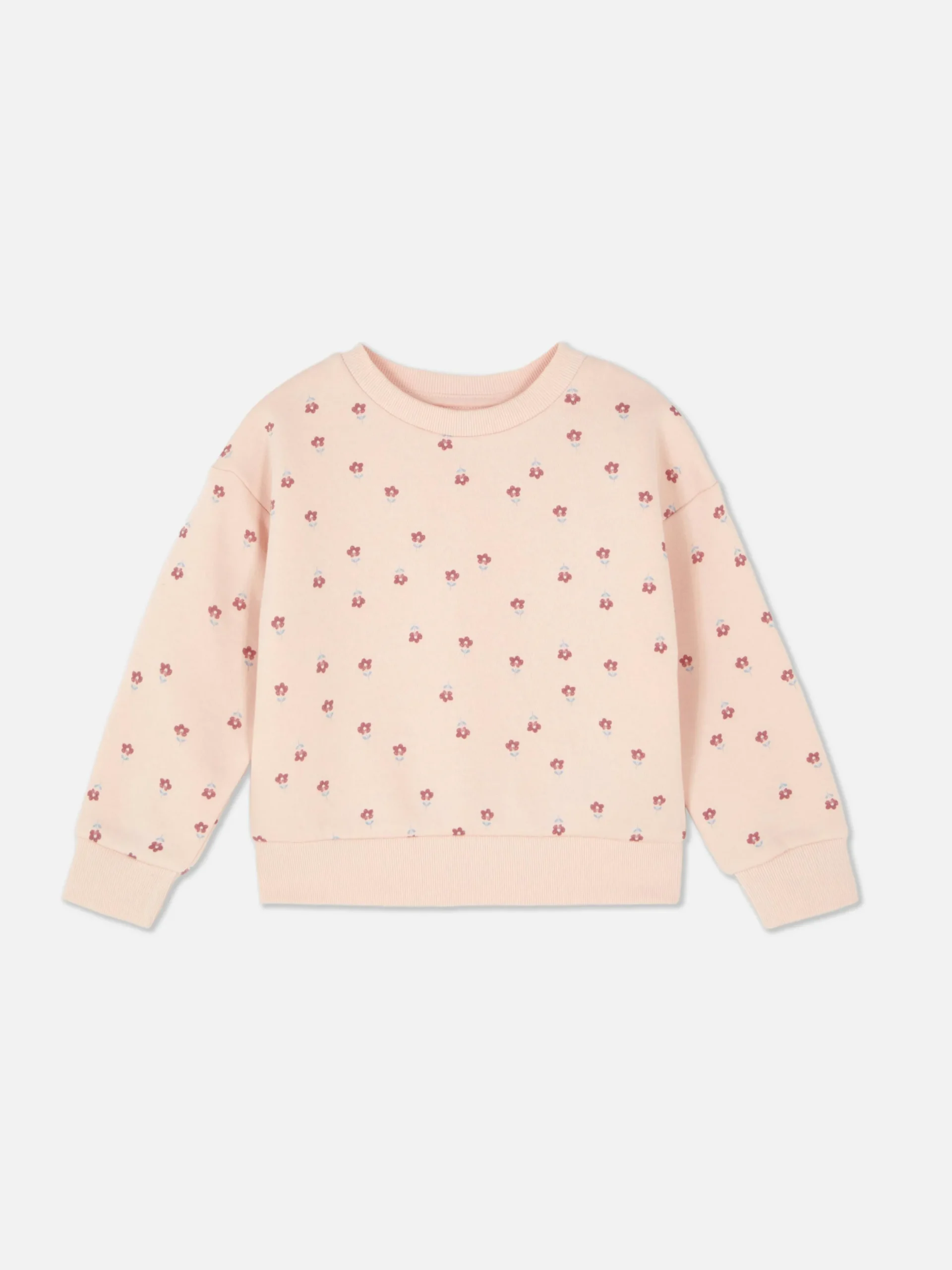 Hoodies Und Sweatshirts|Primark Grafik-Sweatshirt Mit Rundhalsausschnitt Hellrosa