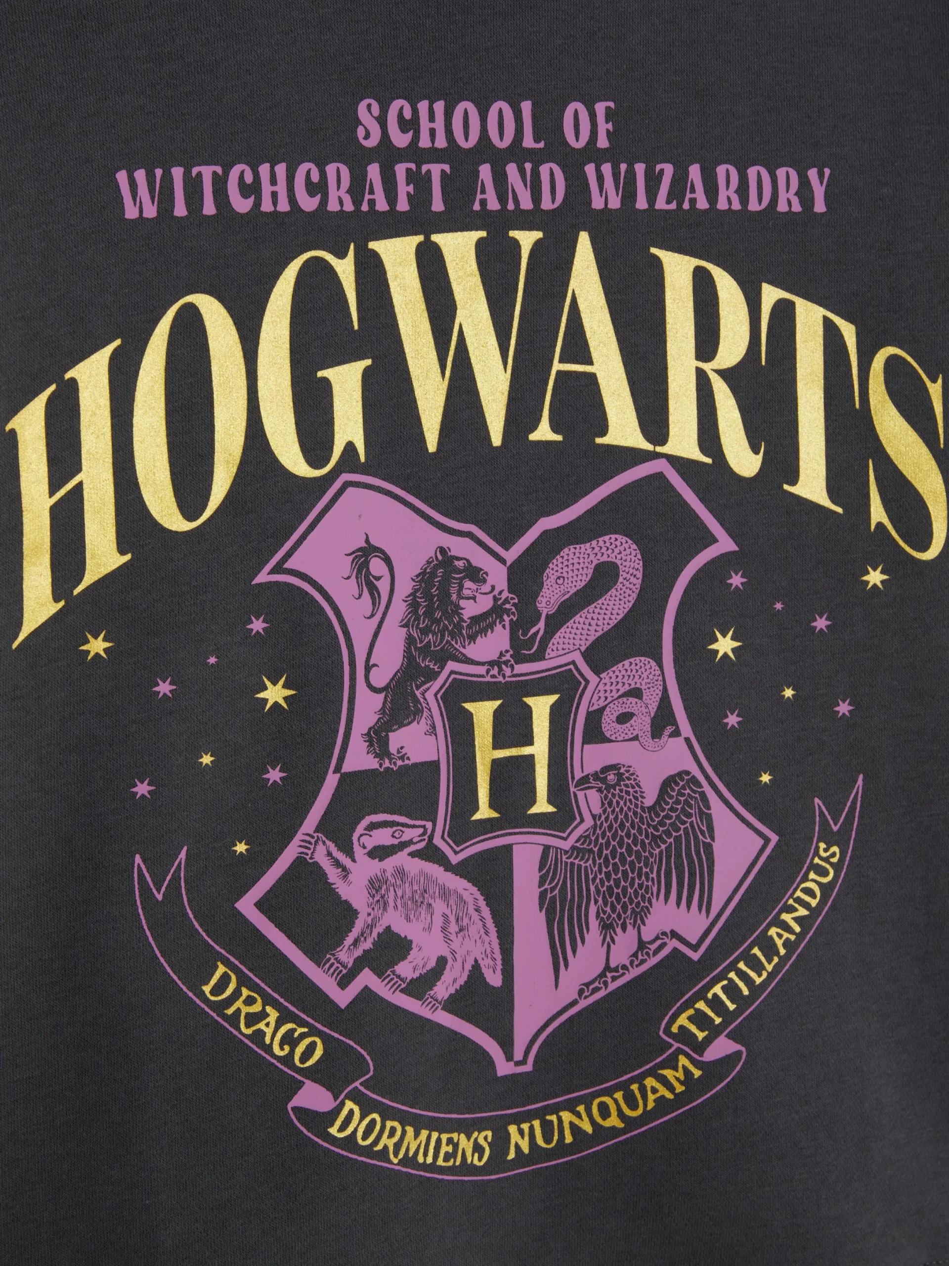 Hoodies Und Sweatshirts|Primark „Harry Potter™ Hogwarts“ Sweatshirt Anthrazitfarben
