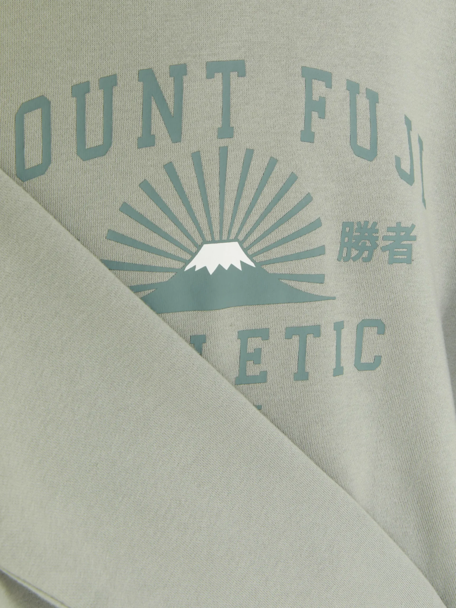 Hoodies Und Sweatshirts|Primark Hoodie Mit Grafik Mintgrün