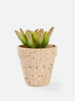 Kunstpflanzen Und -Blumen|Primark Kleine Künstliche Sukkulente Multi