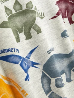 Tops Und T-Shirts|Primark Kurzärmeliges Grafik-T-Shirt Grau meliert