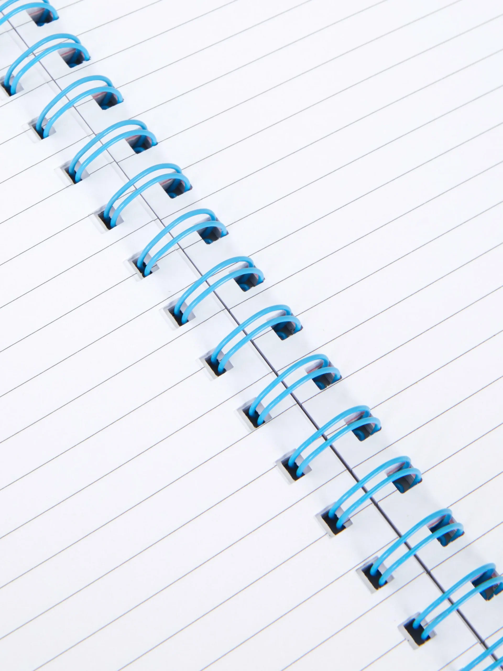 Notizbücher|Primark Notizbuch Mit Hundemotiv, A5 Multi