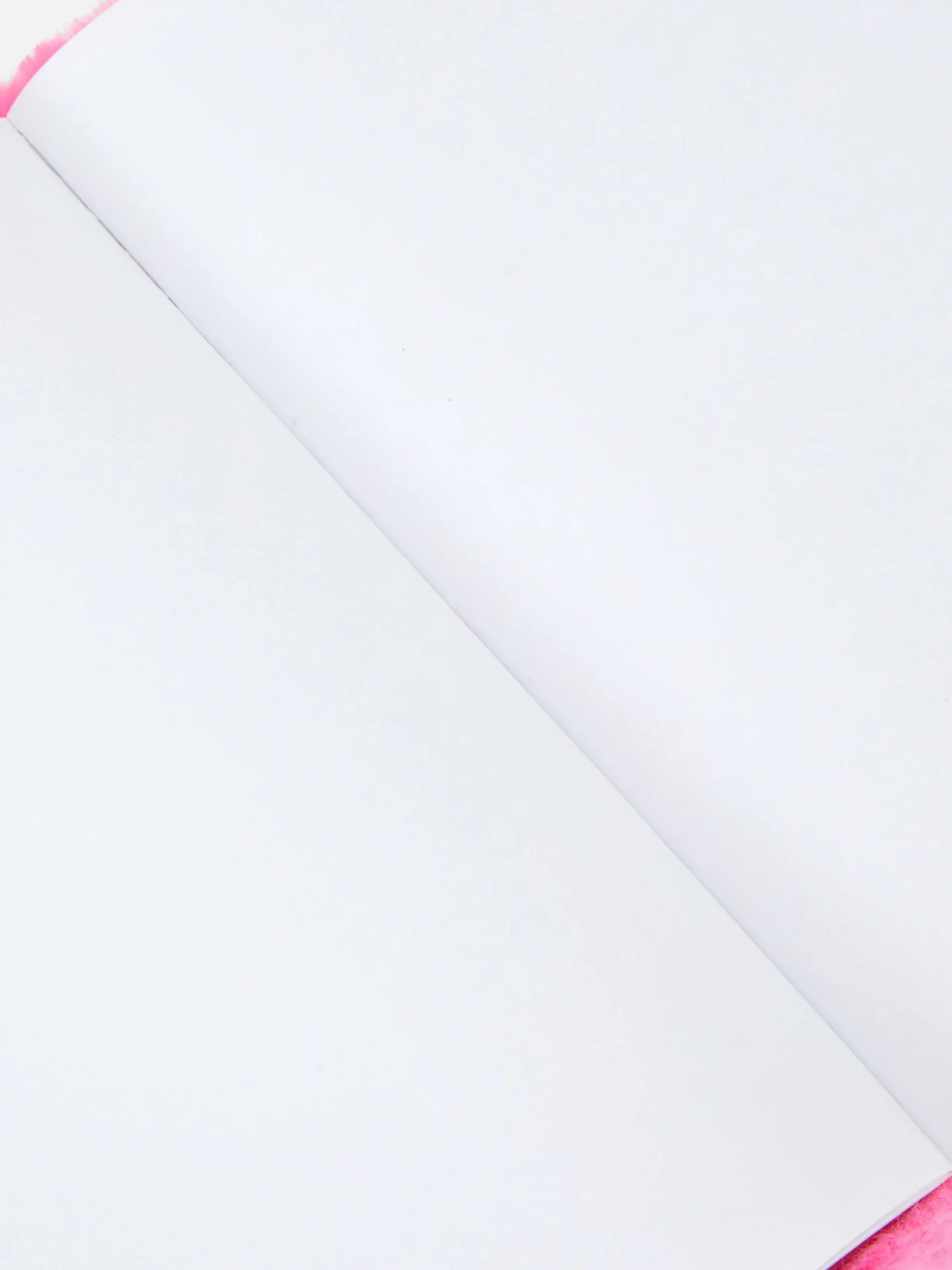Notizbücher|Primark Notizbuch Mit Kunstfell Und Schmetterling-Design Fuchsiafarben