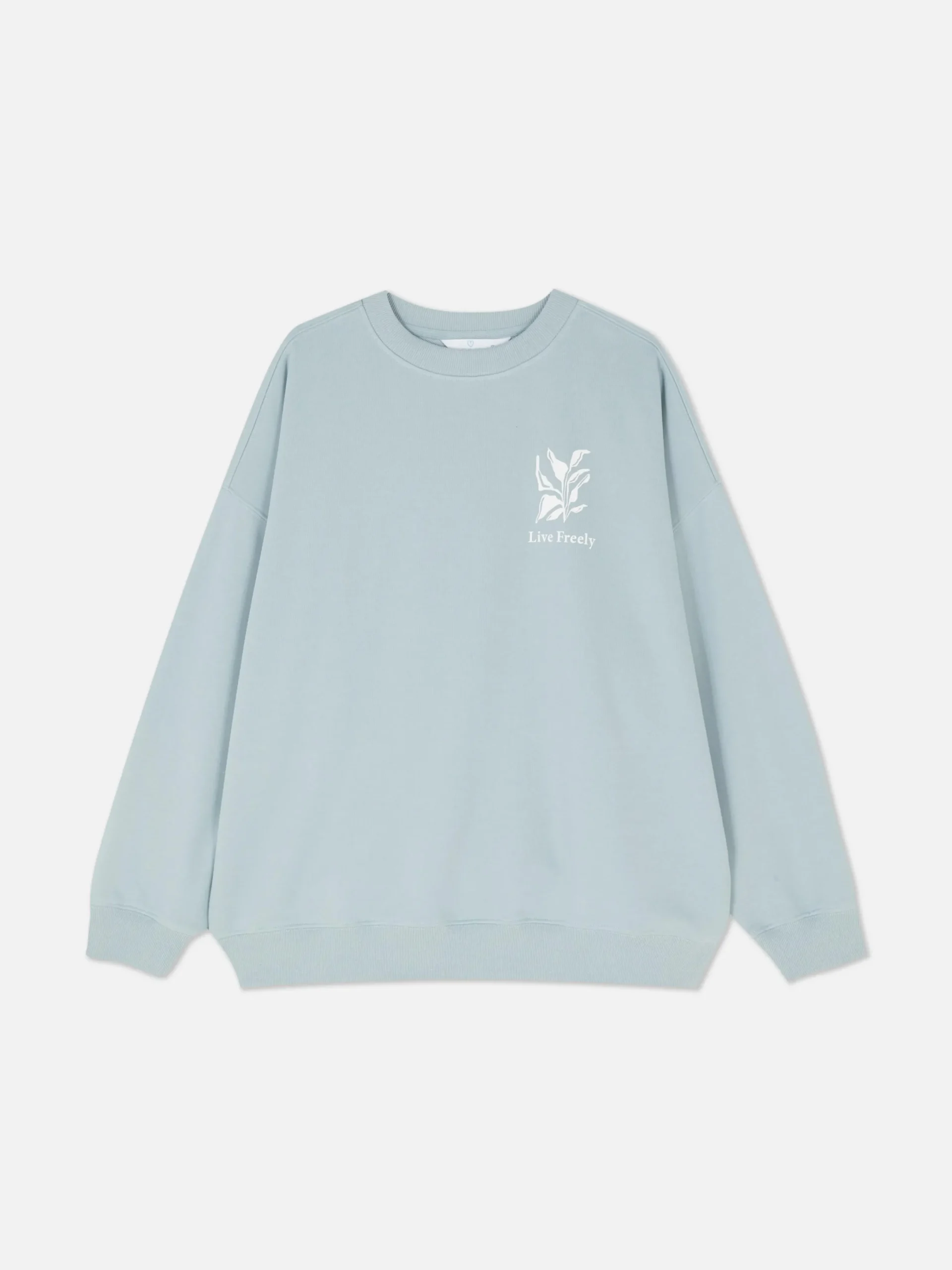 Hoodies Und Sweatshirts|Primark Oversize-Sweatshirt Mit Grafik Blau