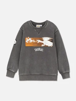 Hoodies Und Sweatshirts|Primark „Pokémon“ Sweatshirt Mit Grafik Dunkelgrau
