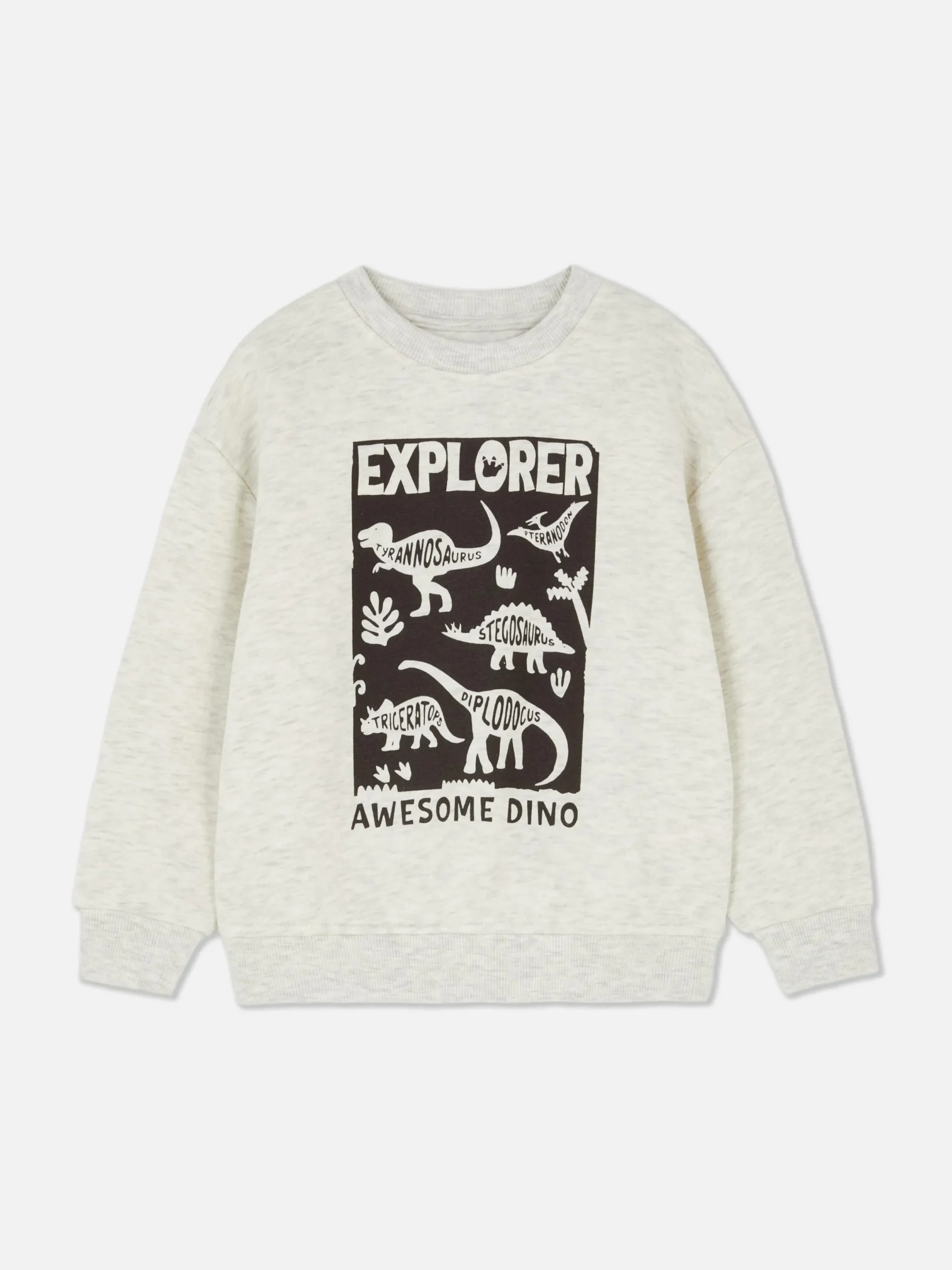 Hoodies Und Sweatshirts|Primark Rundhals-Sweatshirt Mit Grafik Grau