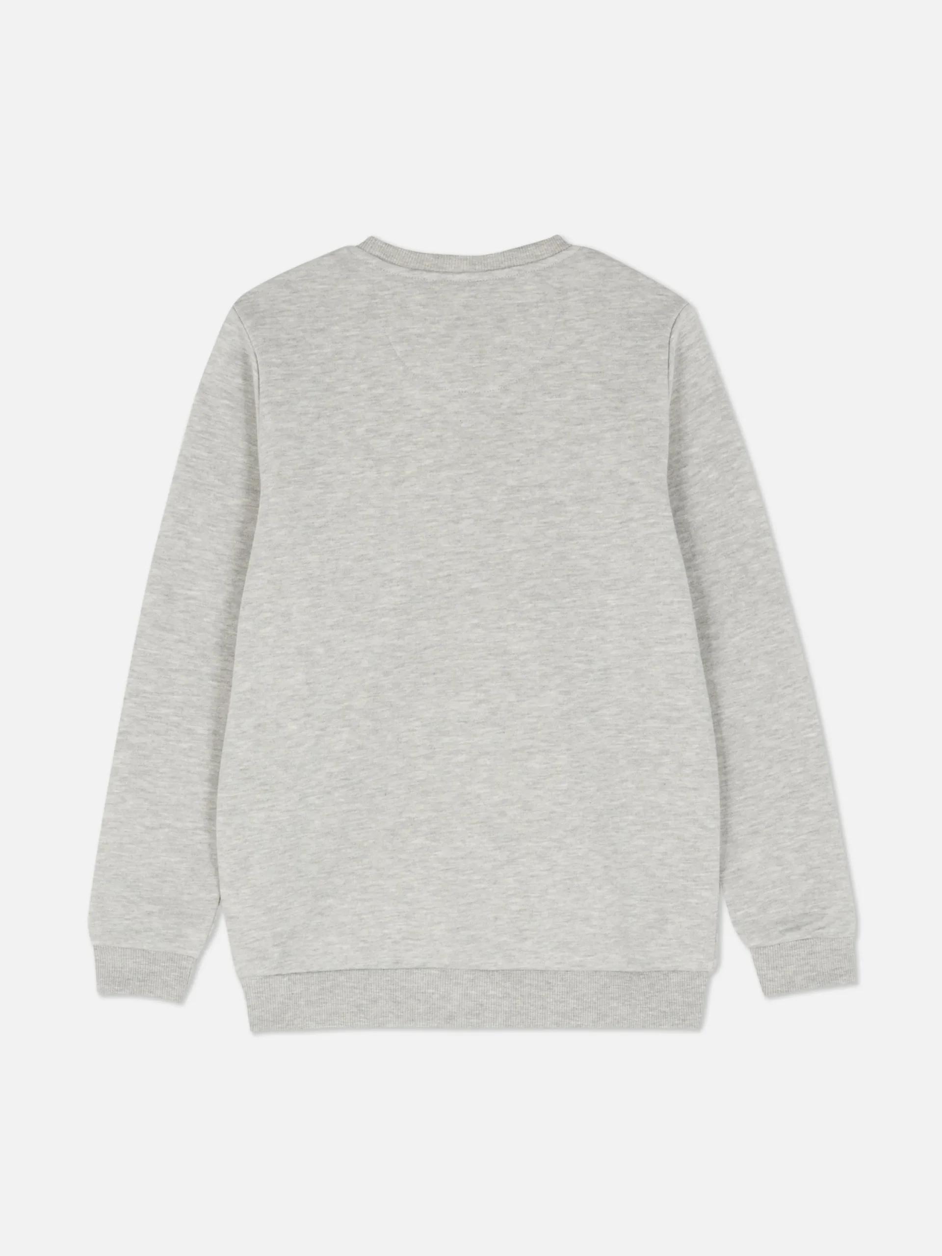 Hoodies Und Sweatshirts|Primark Sweatshirt Mit Rundhalsausschnitt Grau meliert