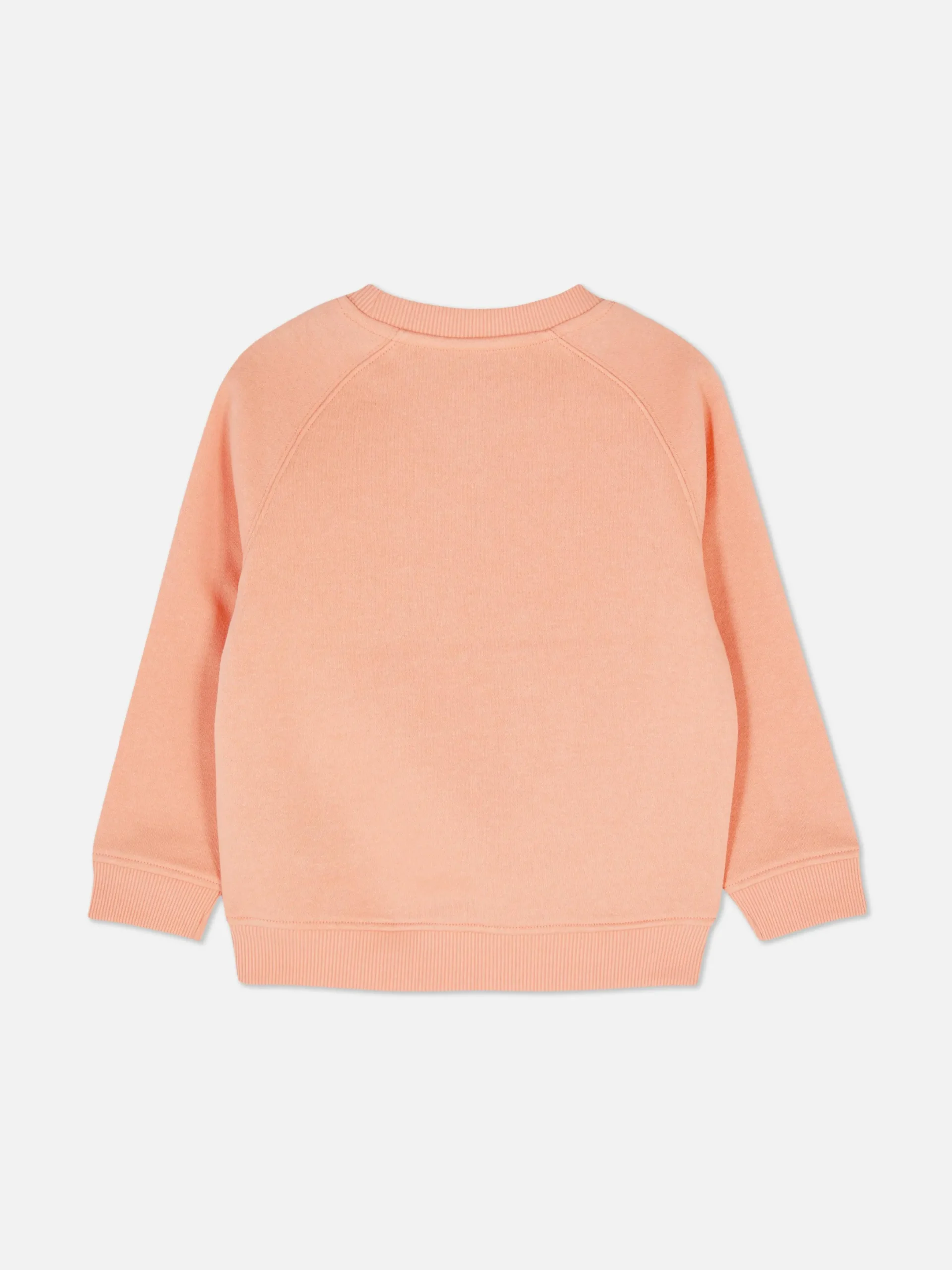Hoodies Und Sweatshirts|Primark Sweatshirt Mit Rundhalsausschnitt Orange